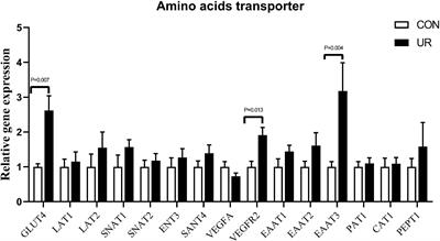 Uridine affects amino acid metabolism in sow-piglets model and increases viability of pTr2 cells